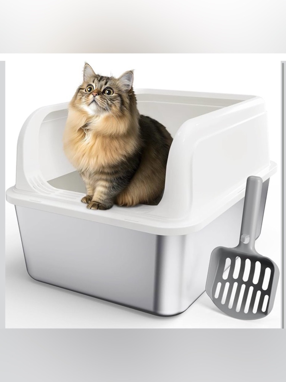 Modern White Cat Litter Box with High Back